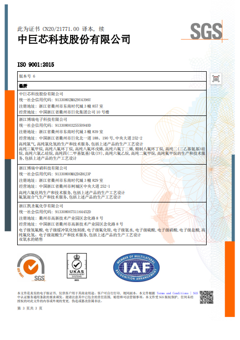 ISO 9001 中文